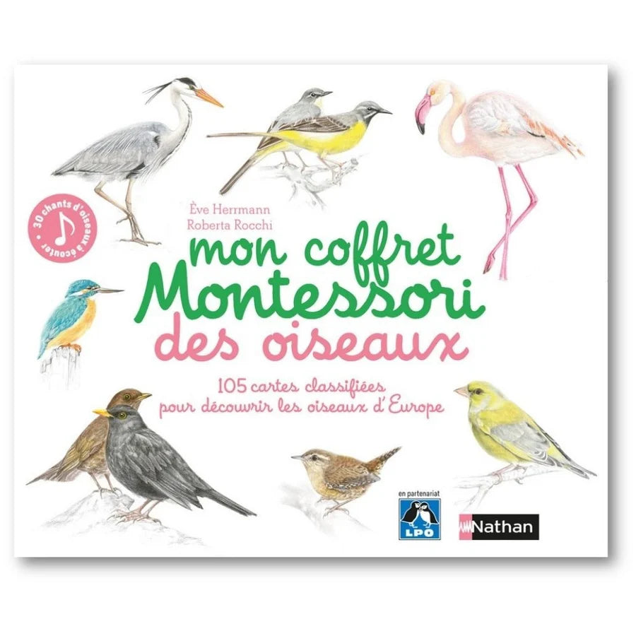 Mon coffret Montessori (Eveil sensoriel, développement ludique)