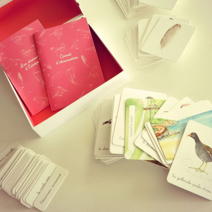 Mon coffret Montessori (Eveil sensoriel, développement ludique)