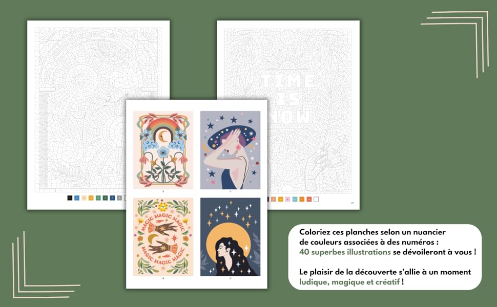 Livres coloriages mystère adultes